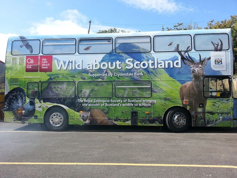 best vinyl for bus wraps