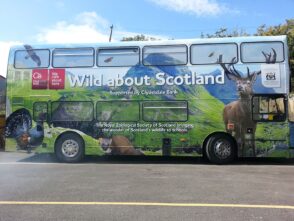 best vinyl for bus wraps