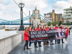 foldable fabric banner printing