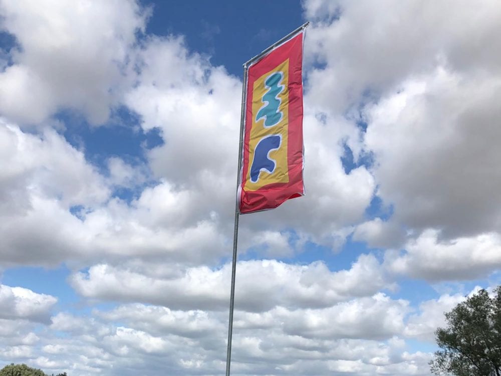 Festival flag