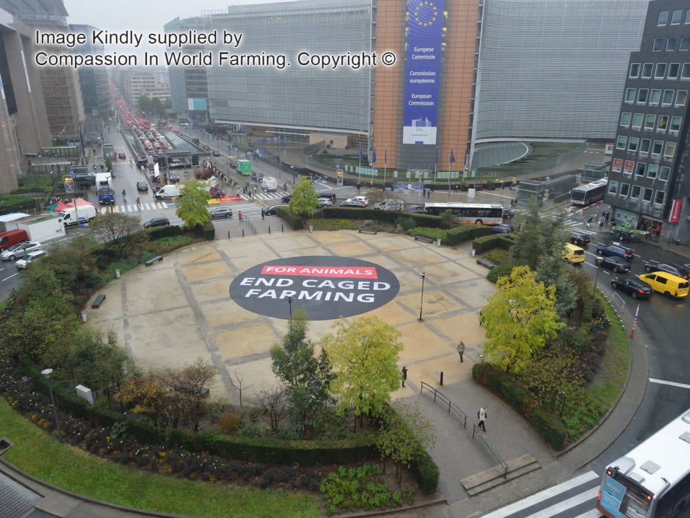 Full colour printed centre circle banner